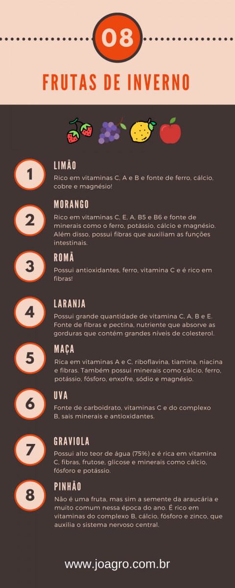 Infográfico Frutas de Inverno