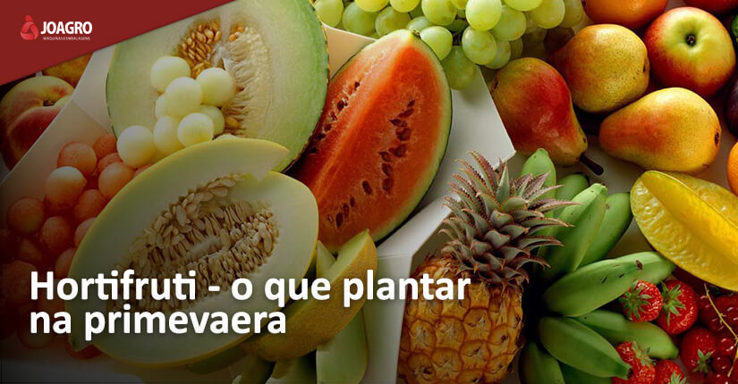 Hortifruti na primavera - saiba o que plantar