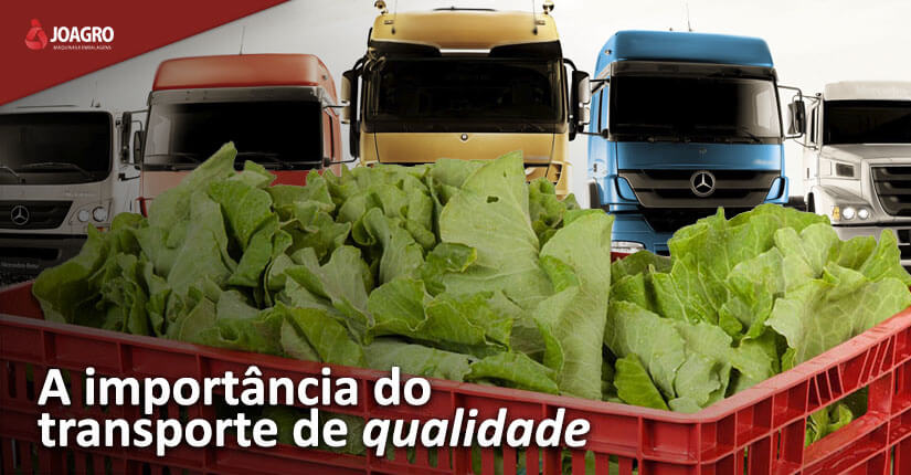 A IMPORTÂNCIA DO TRANSPORTE DE QUALIDADE