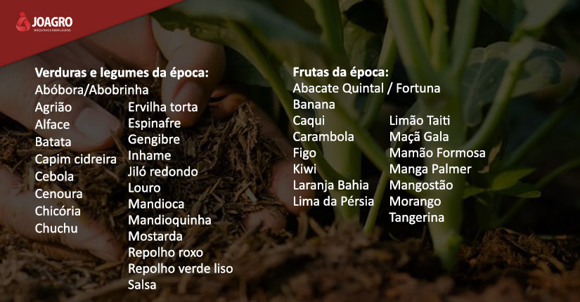 Frutas da época