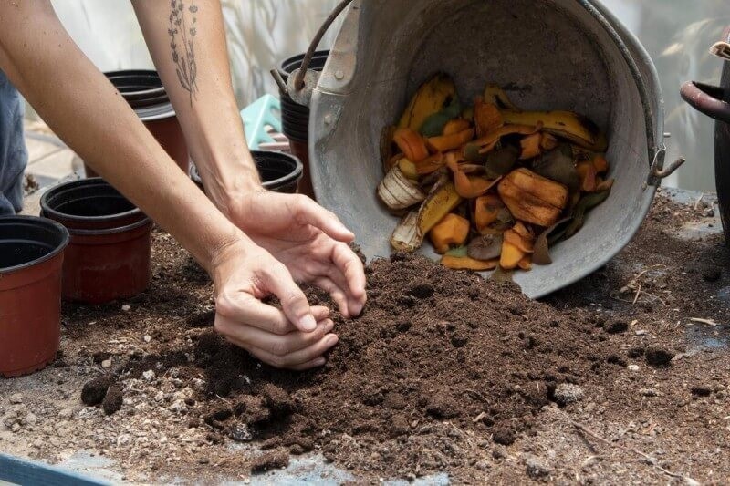 Como fazer uma composteira simples? Transformando Resíduos em Nutrientes