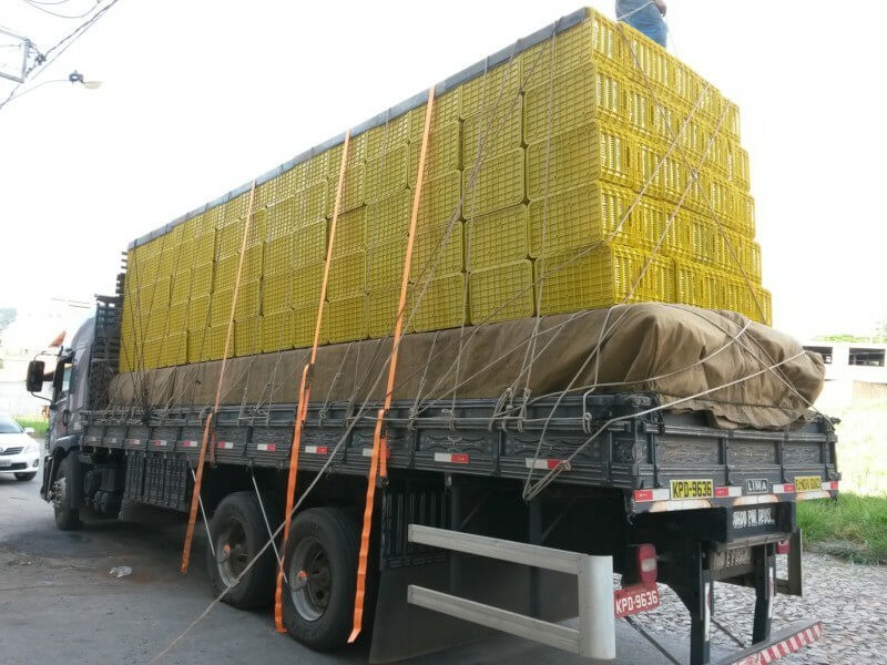 Transporte de alimentos: Benefícios das caixas plásticas em Ceasas e Supermercados