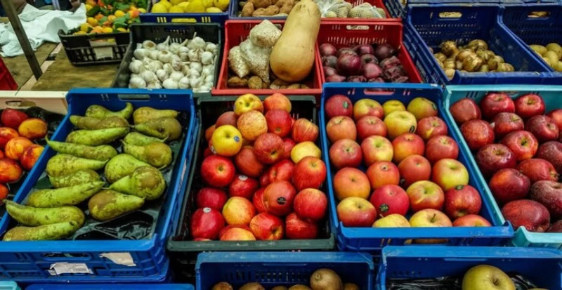 Caixas Plásticas para Exposição de Alimentos: cause uma boa impressão