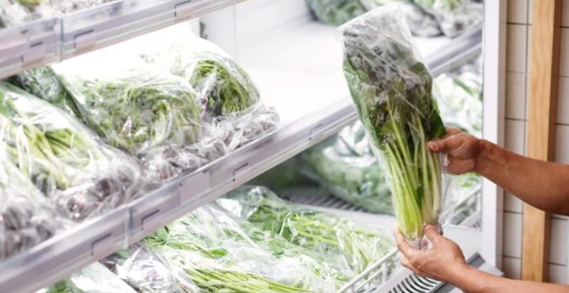 Acondicionamento de alimentos perecíveis: boas práticas para garantir qualidade e segurança