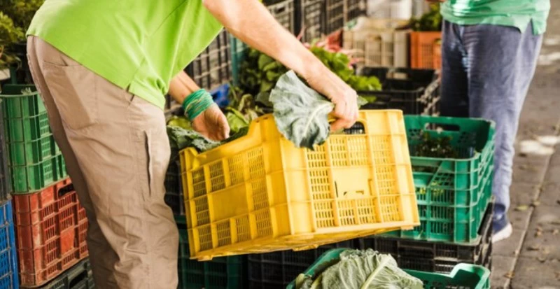 Prevenção do desgaste de hortifrutis durante o transporte