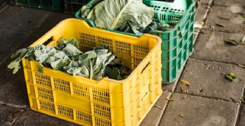 Adote Caixas Plásticas Recicláveis e Fidelize o Público Sustentável