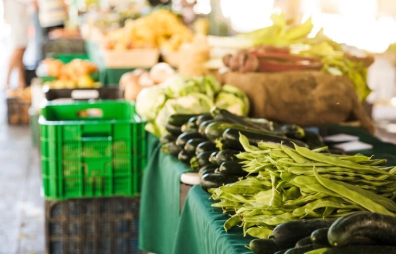 Caixas plásticas agrícolas: aplicações do campo ao mercado